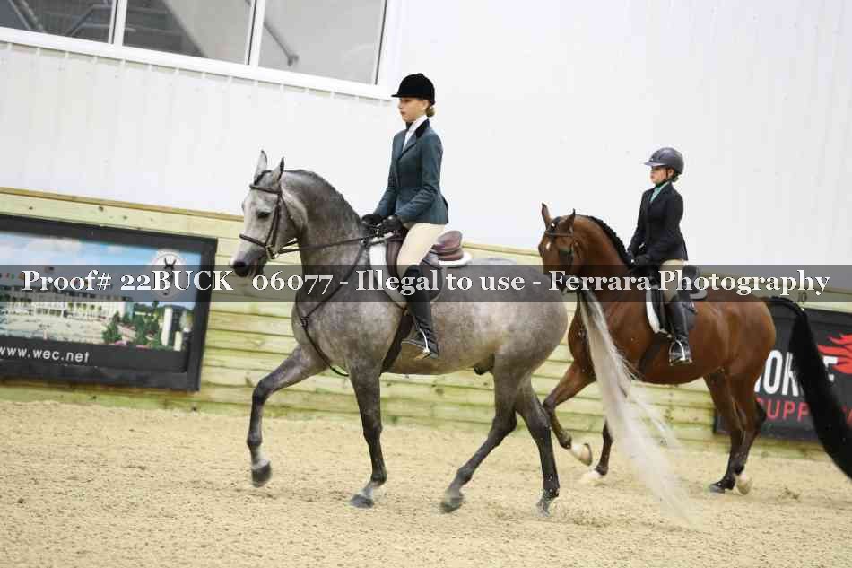 Proof 22BUCK_06077