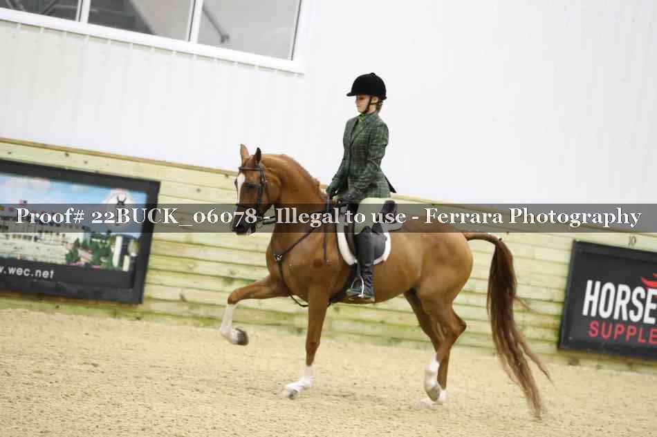 Proof 22BUCK_06078