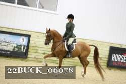 22BUCK_06078 proof