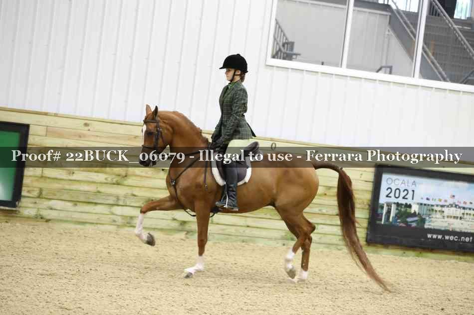 Proof 22BUCK_06079
