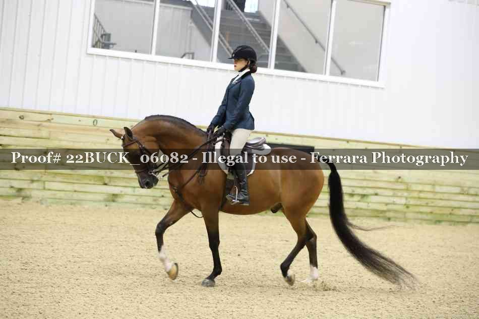 Proof 22BUCK_06082