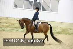 22BUCK_06082 proof