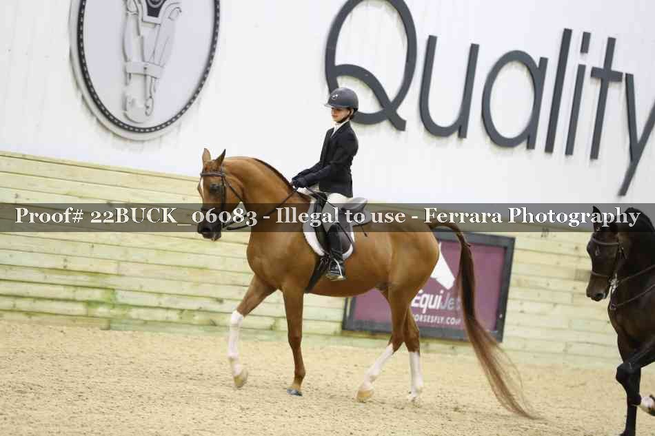 Proof 22BUCK_06083