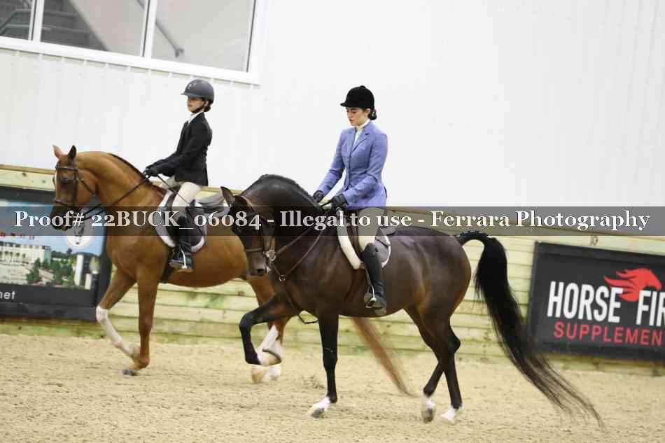 Proof 22BUCK_06084
