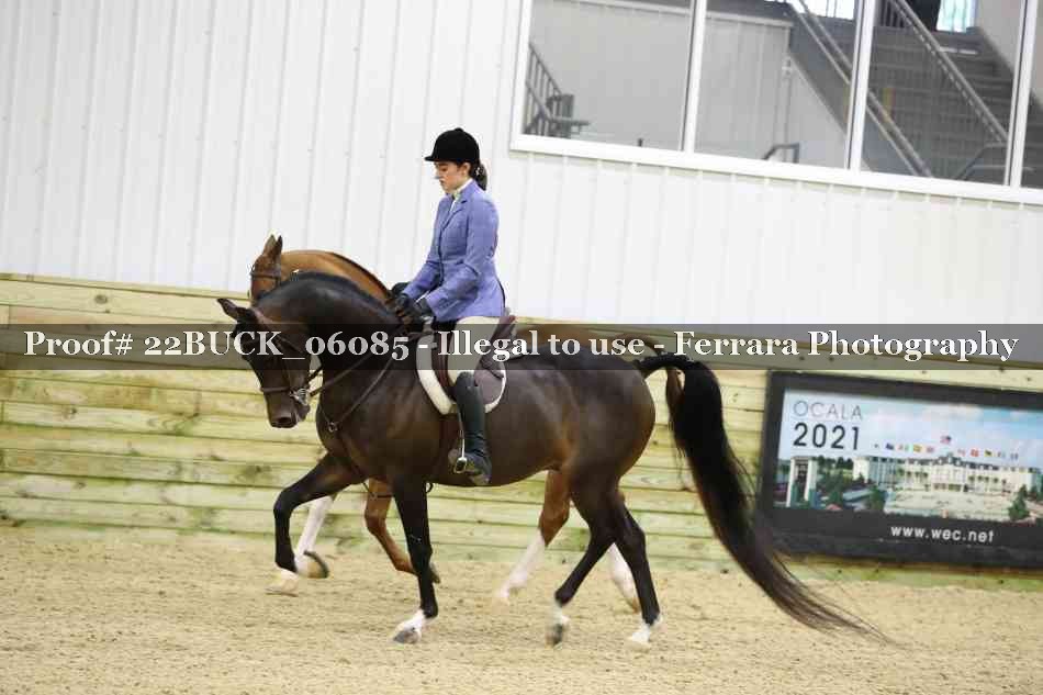 Proof 22BUCK_06085