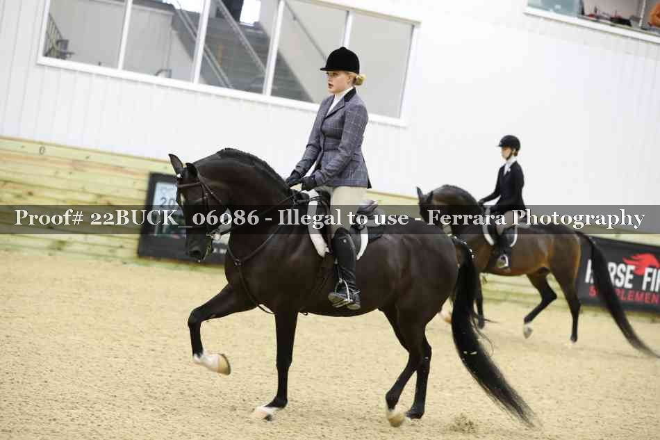 Proof 22BUCK_06086