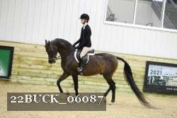 22BUCK_06087 proof