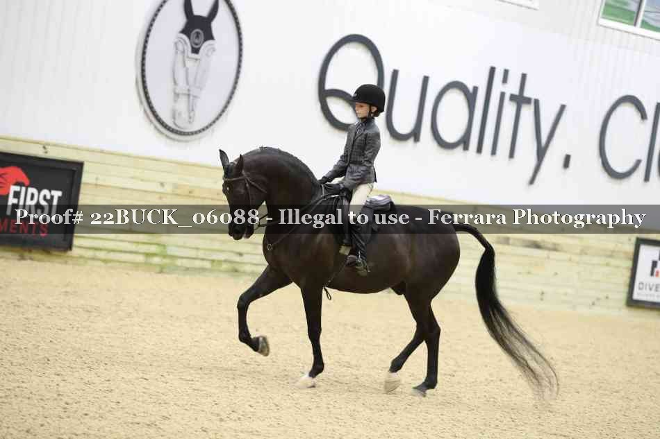 Proof 22BUCK_06088