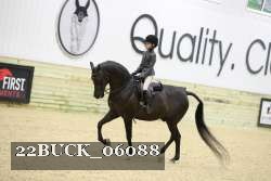 22BUCK_06088 proof