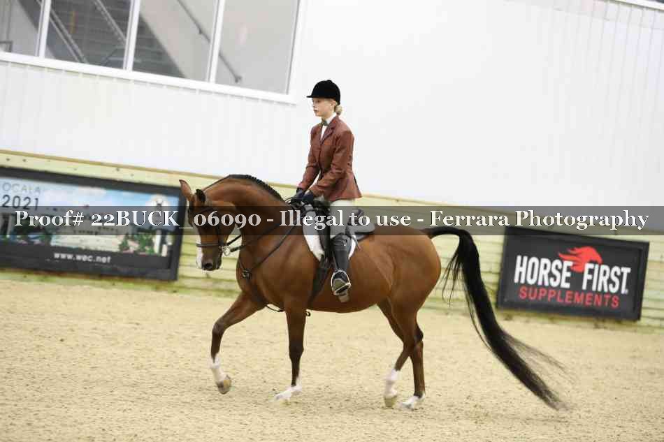 Proof 22BUCK_06090