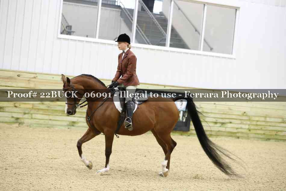 Proof 22BUCK_06091