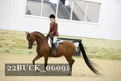 22BUCK_06091 proof
