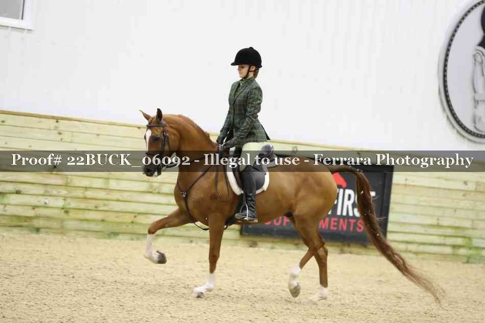 Proof 22BUCK_06092