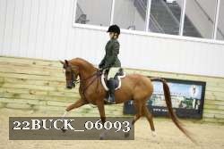 22BUCK_06093 proof