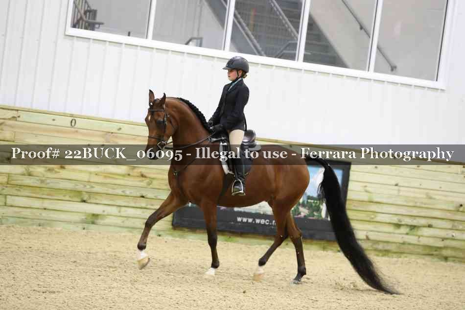 Proof 22BUCK_06095