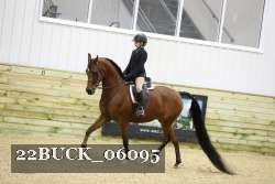 22BUCK_06095 proof
