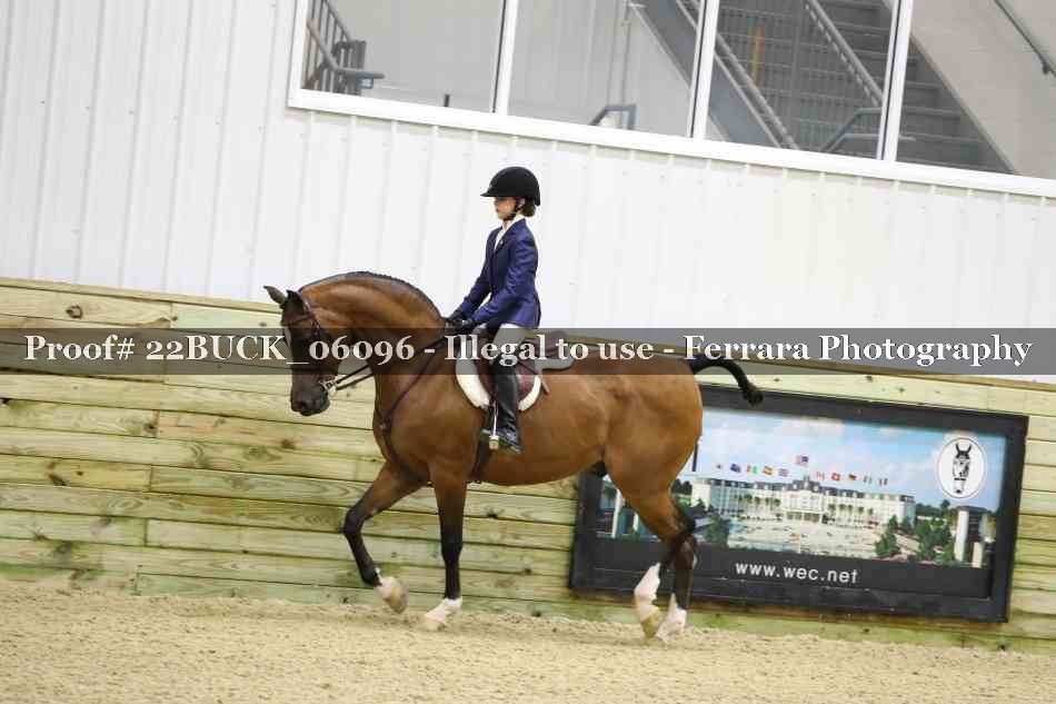 Proof 22BUCK_06096