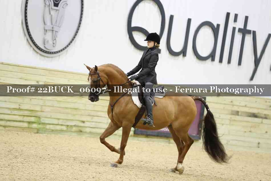 Proof 22BUCK_06097