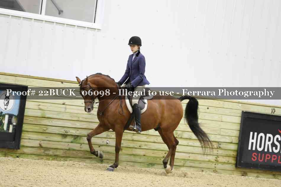 Proof 22BUCK_06098