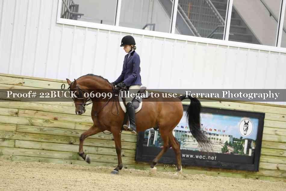 Proof 22BUCK_06099