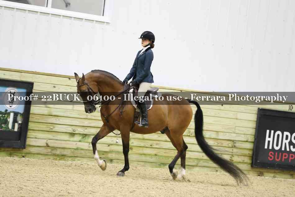 Proof 22BUCK_06100