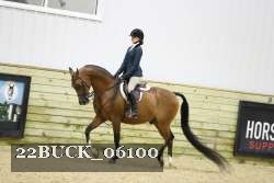 22BUCK_06100 proof