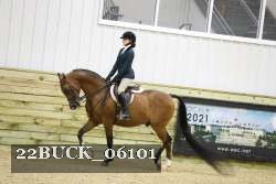 22BUCK_06101 proof
