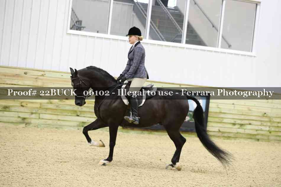 Proof 22BUCK_06102