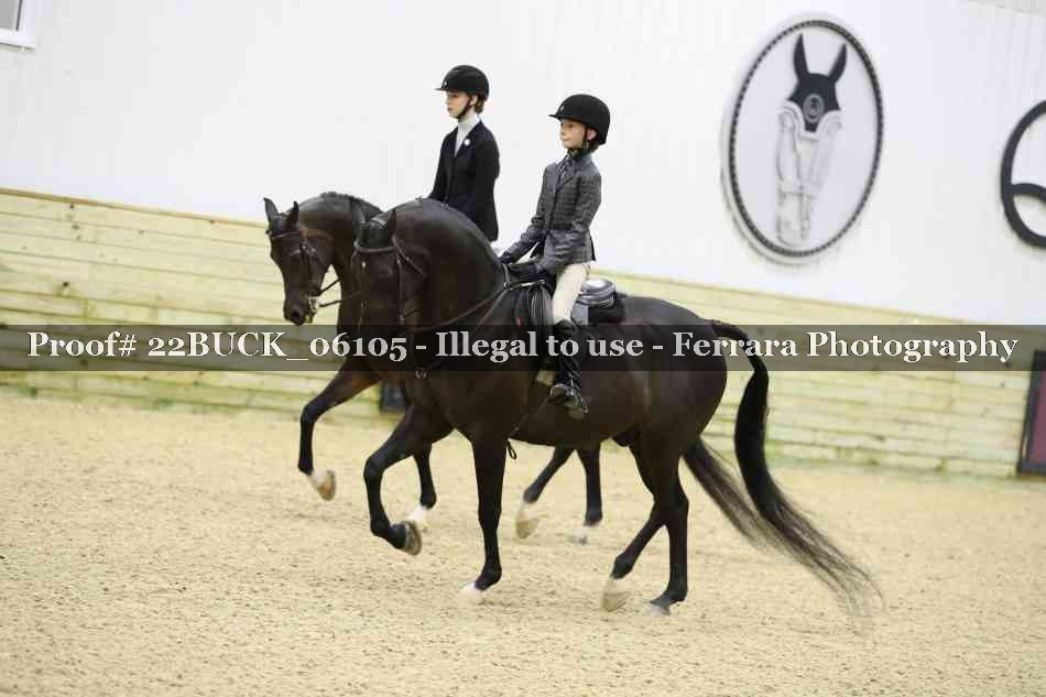 Proof 22BUCK_06105