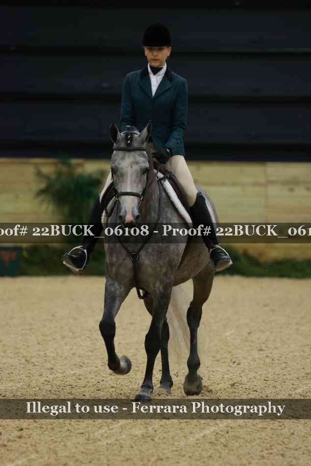Proof 22BUCK_06108