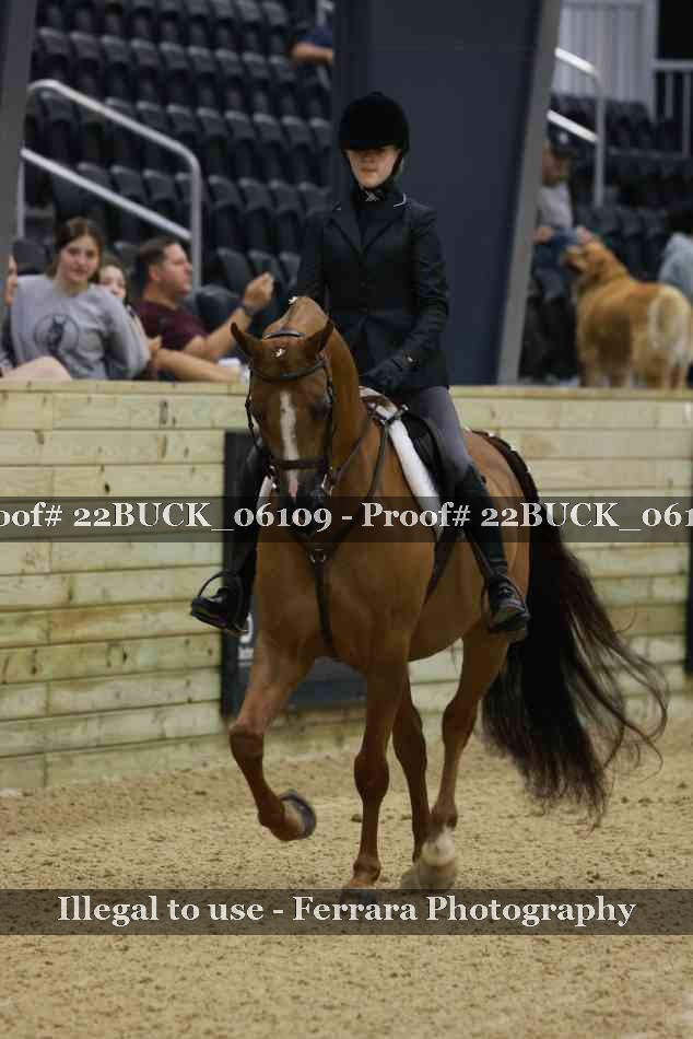 Proof 22BUCK_06109
