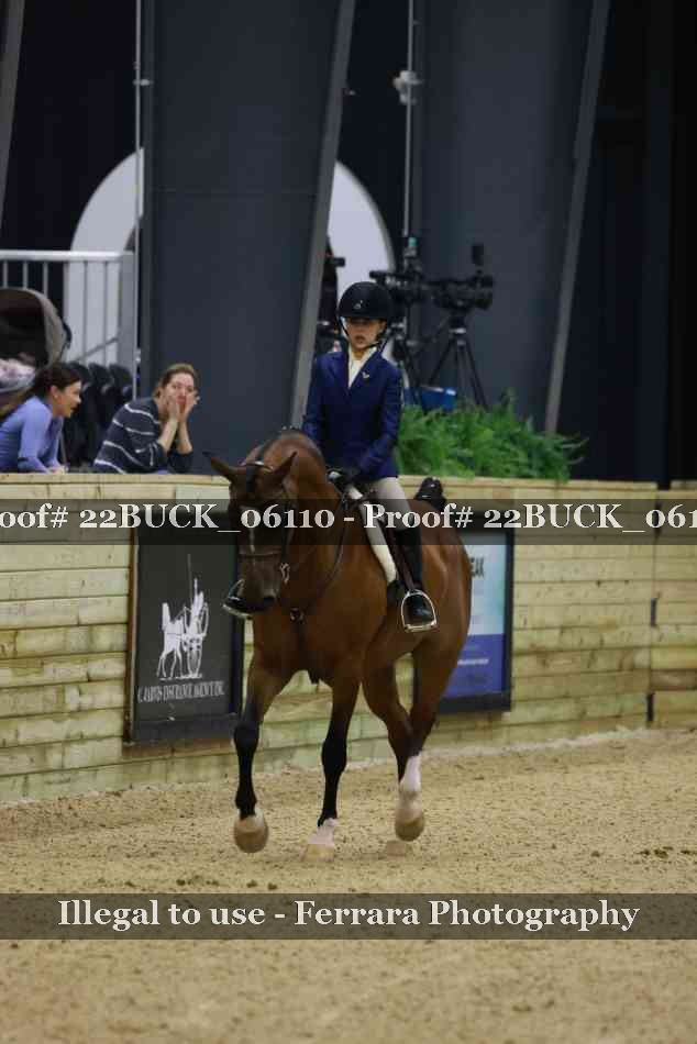 Proof 22BUCK_06110