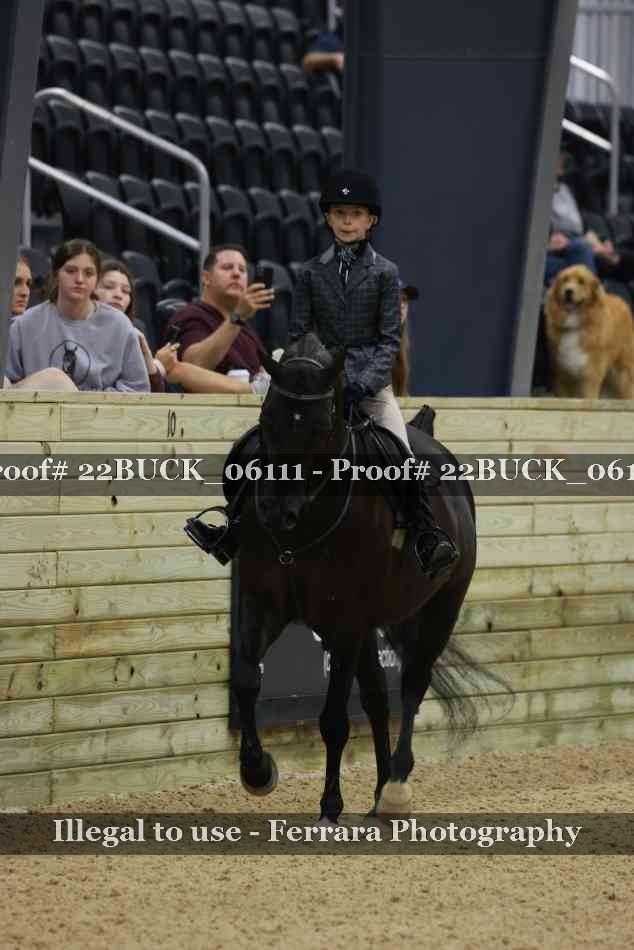 Proof 22BUCK_06111