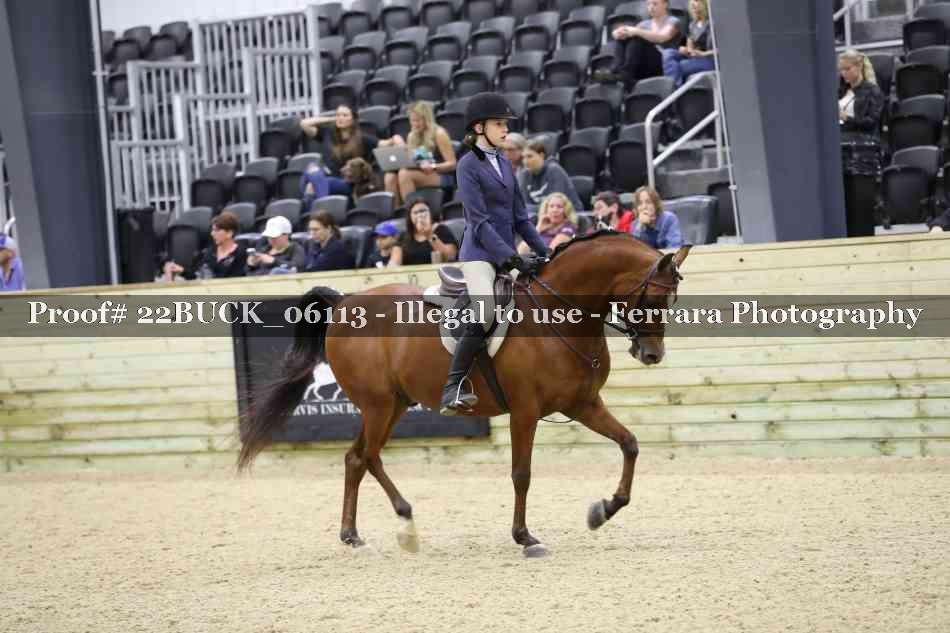 Proof 22BUCK_06113