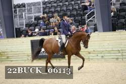 22BUCK_06113 proof