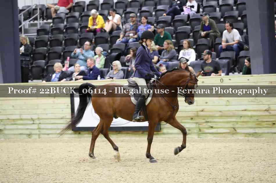 Proof 22BUCK_06114