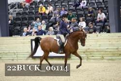 22BUCK_06114 proof