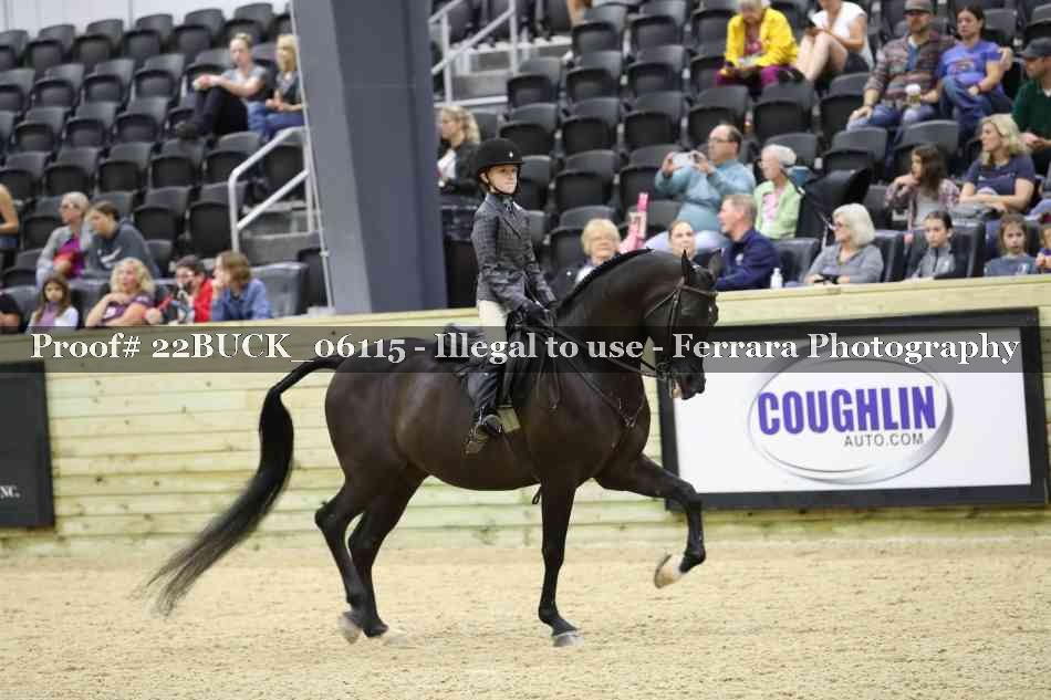 Proof 22BUCK_06115