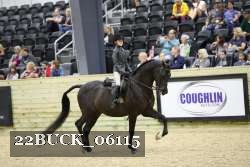 22BUCK_06115 proof