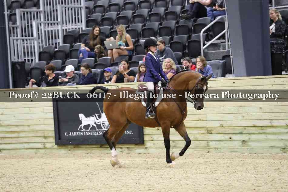 Proof 22BUCK_06117