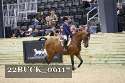 22BUCK_06117 proof