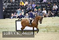 22BUCK_06118 proof
