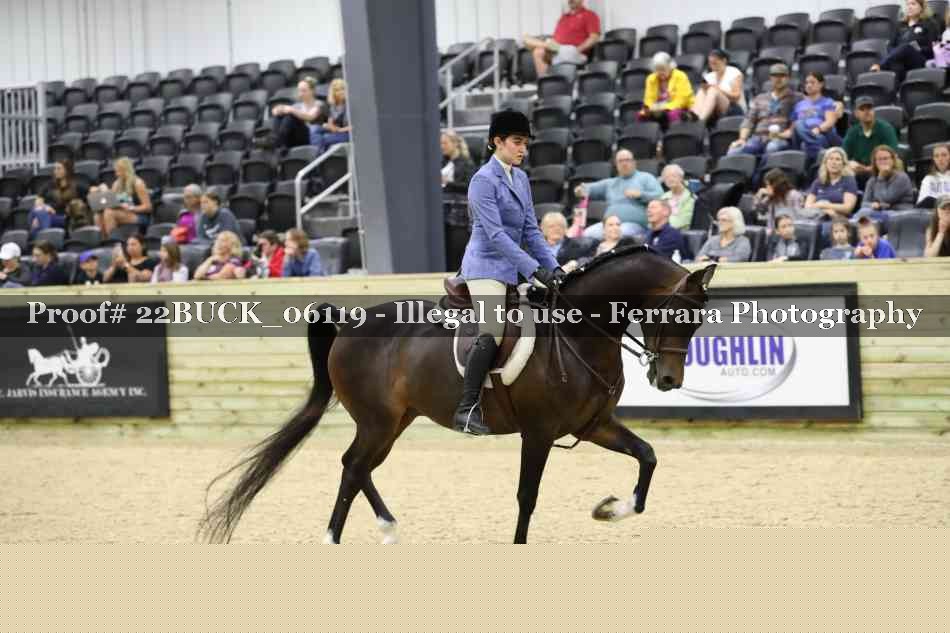 Proof 22BUCK_06119