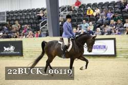 22BUCK_06119 proof