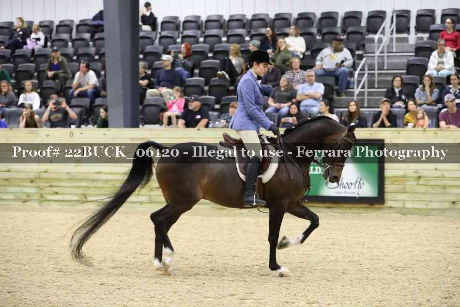 Proof 22BUCK_06120