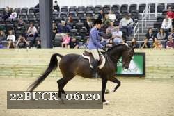 22BUCK_06120 proof