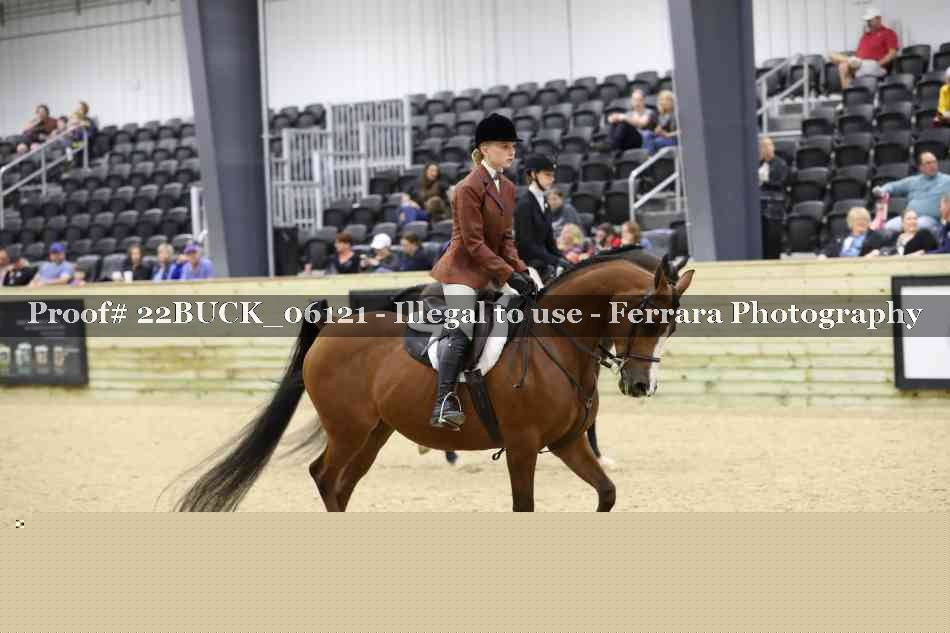 Proof 22BUCK_06121