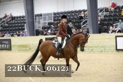 22BUCK_06121 proof