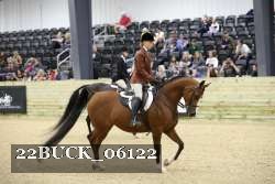 22BUCK_06122 proof