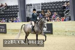 22BUCK_06123 proof